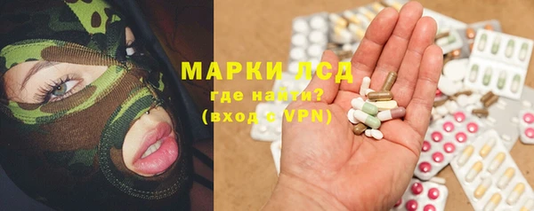 эйфоретик Аркадак