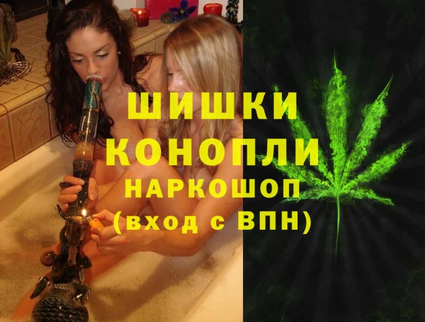 эйфоретик Аркадак