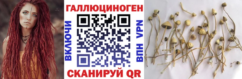 Псилоцибиновые грибы MAGIC MUSHROOMS  дарнет шоп  Рославль 